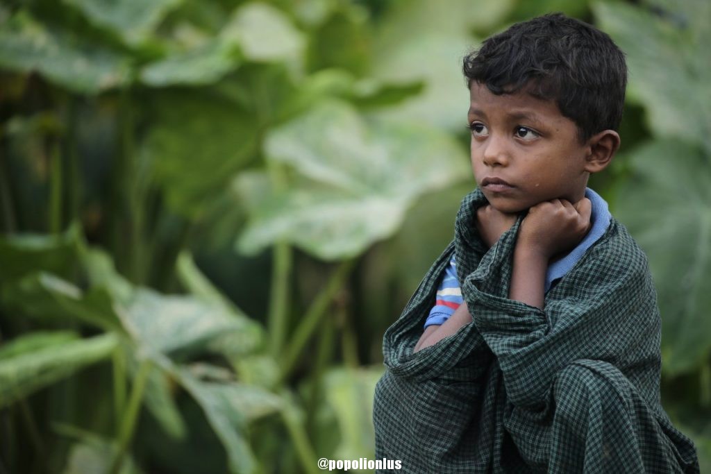 rohingya_popolionlus